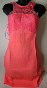 Bodycon Lace Dress (50% off w/ Sale Code)